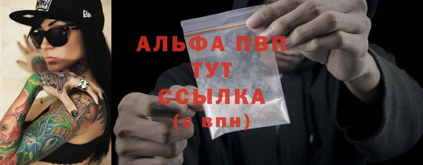 прущие грибы Зеленокумск