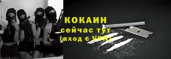 прущие грибы Зеленокумск