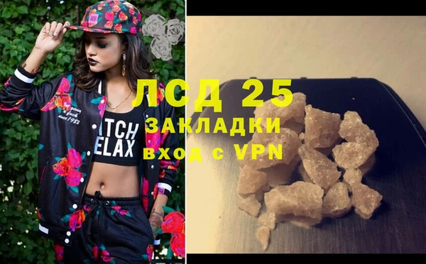 прущие грибы Зеленокумск