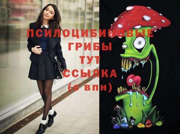 прущие грибы Зеленокумск