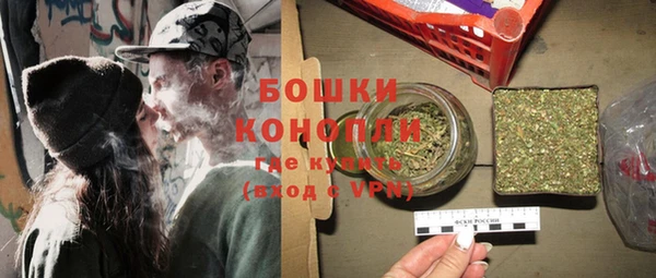 прущие грибы Зеленокумск
