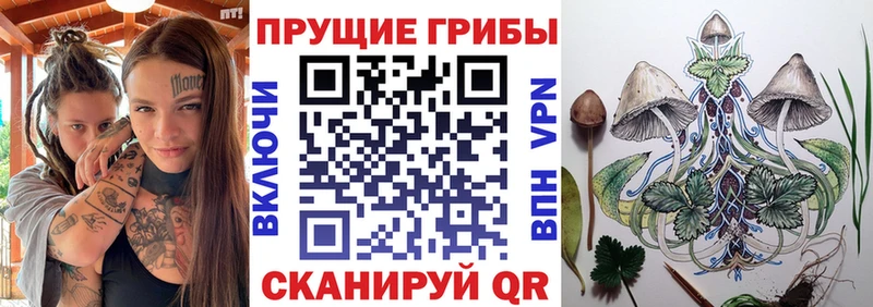 Купить  Мирный  Псилоцибиновые грибы мицелий 
